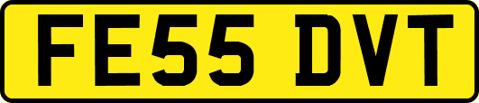 FE55DVT