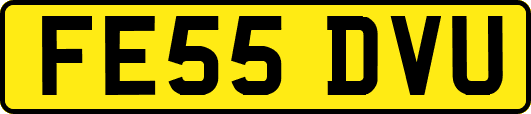 FE55DVU