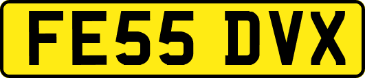 FE55DVX