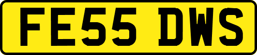 FE55DWS