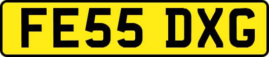 FE55DXG