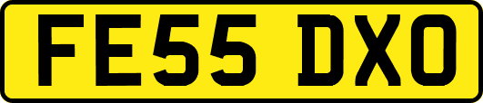 FE55DXO