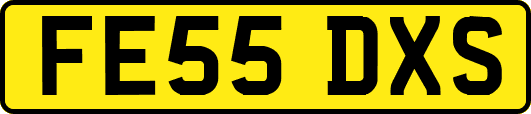 FE55DXS