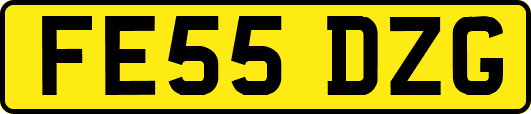 FE55DZG