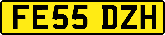 FE55DZH