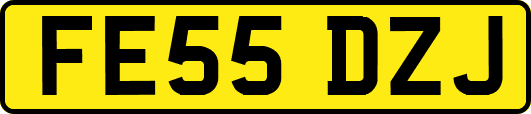 FE55DZJ