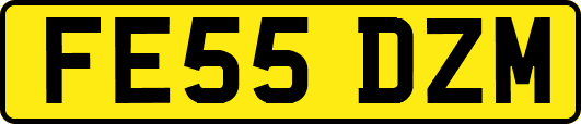 FE55DZM