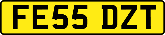 FE55DZT