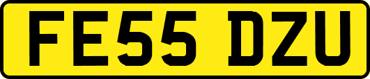 FE55DZU