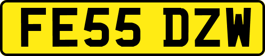FE55DZW