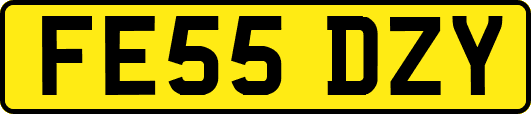 FE55DZY