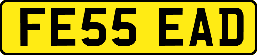 FE55EAD