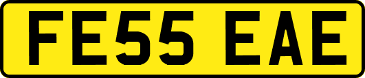 FE55EAE