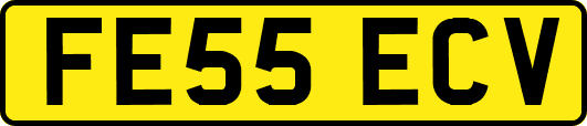 FE55ECV