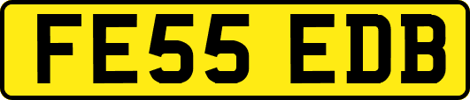 FE55EDB