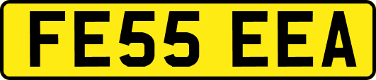 FE55EEA