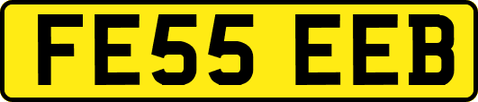 FE55EEB