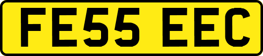 FE55EEC
