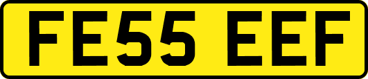 FE55EEF