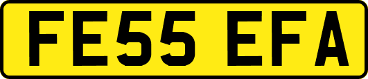 FE55EFA