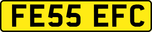 FE55EFC