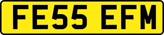 FE55EFM