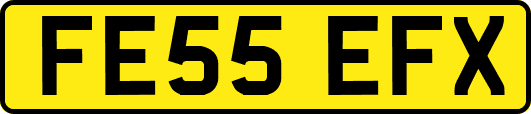 FE55EFX