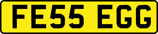 FE55EGG
