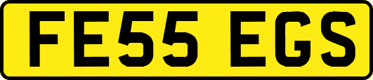 FE55EGS
