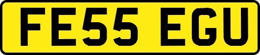 FE55EGU