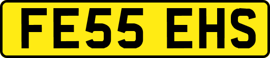 FE55EHS