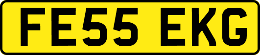 FE55EKG