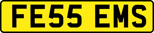 FE55EMS