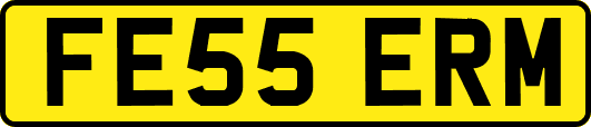 FE55ERM