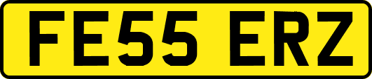 FE55ERZ