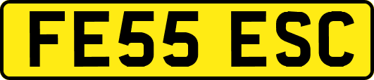 FE55ESC