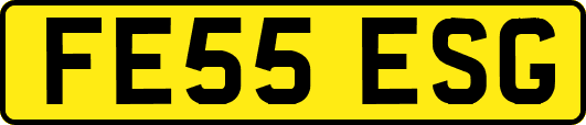 FE55ESG