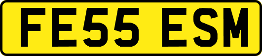 FE55ESM