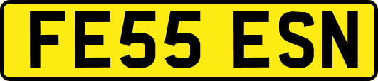 FE55ESN