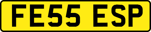 FE55ESP