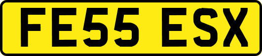FE55ESX