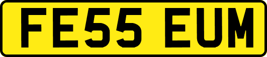 FE55EUM