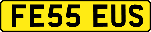 FE55EUS