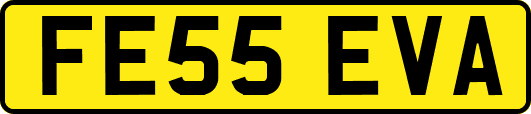 FE55EVA