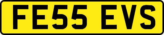 FE55EVS