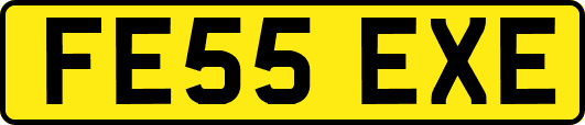 FE55EXE