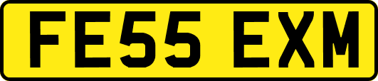 FE55EXM