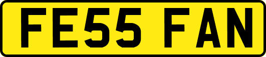 FE55FAN