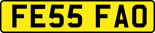 FE55FAO