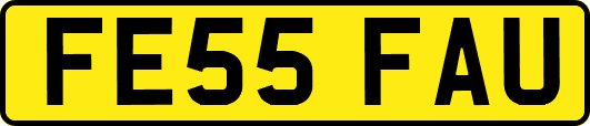 FE55FAU